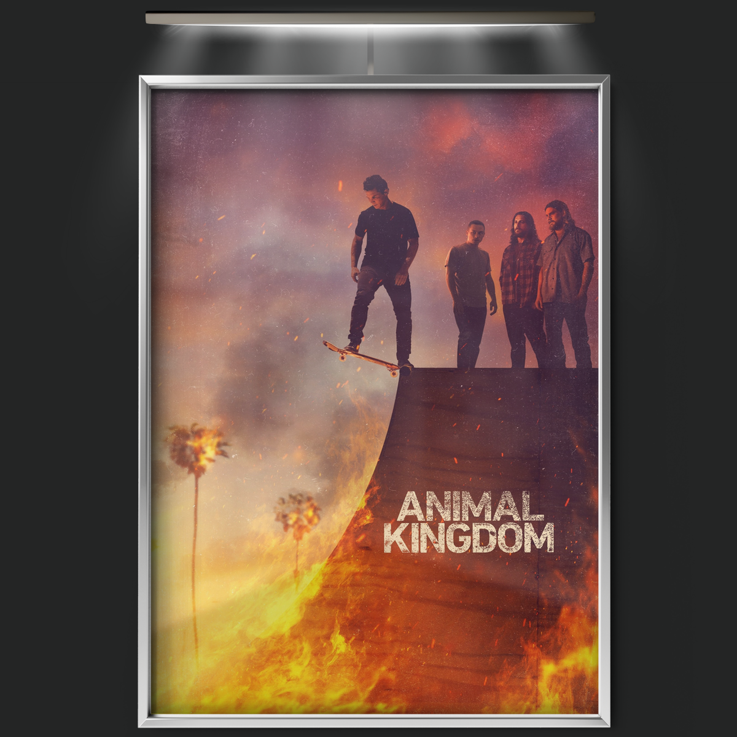 Animal Kingdom (2016)