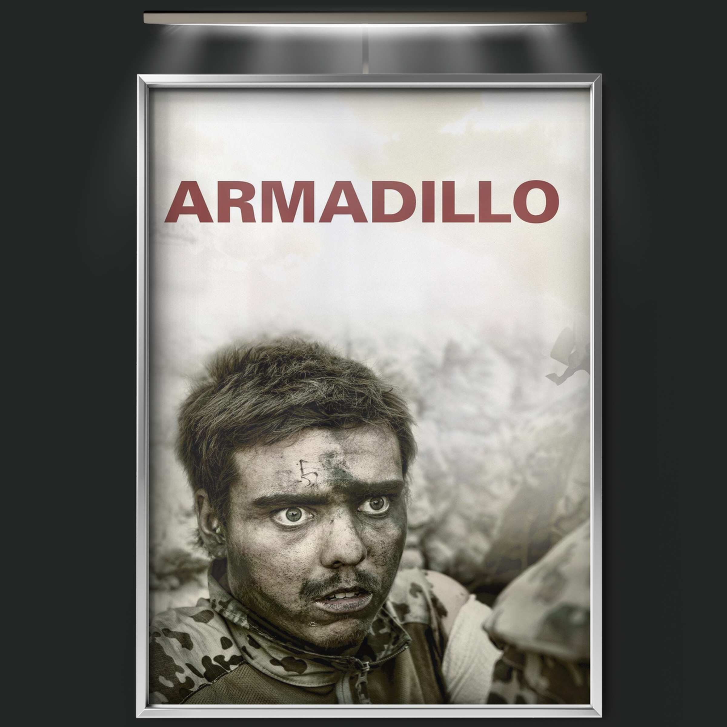 Armadillo (2010)