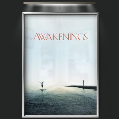 Awakenings (1990)