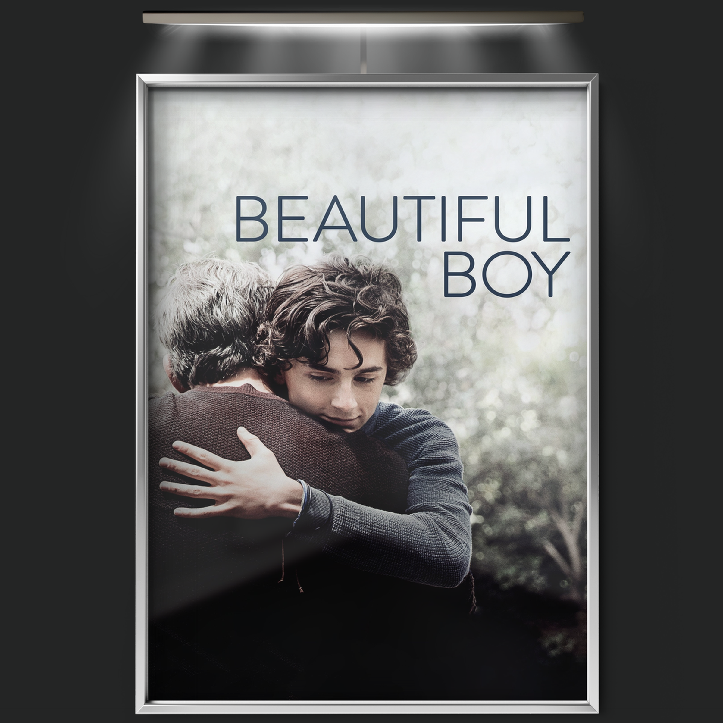 Beautiful Boy (2018)