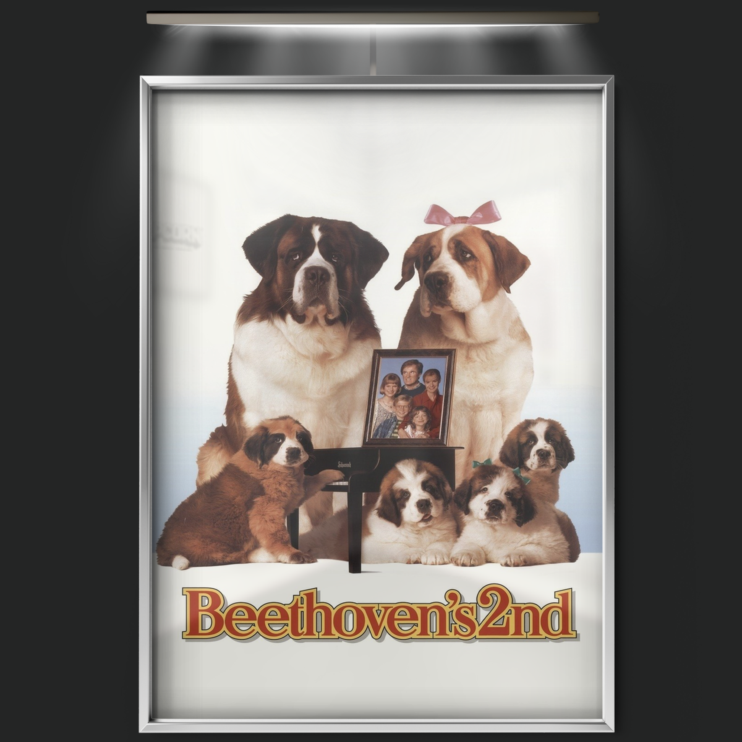 Beethoven's 2nd (1993)