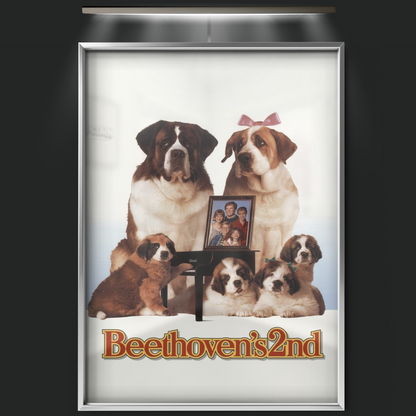 Beethoven's 2nd (1993)