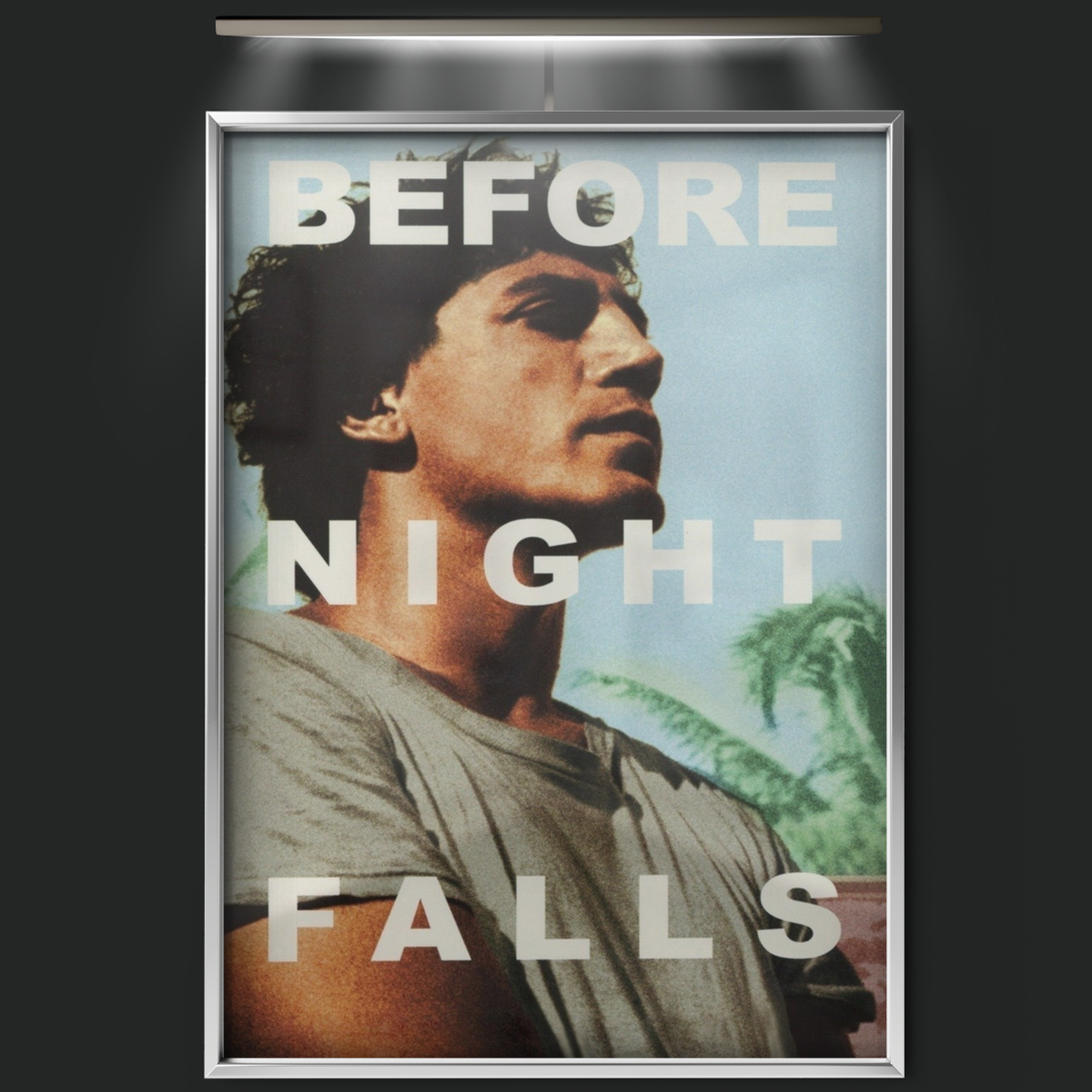 Before Night Falls (2000)