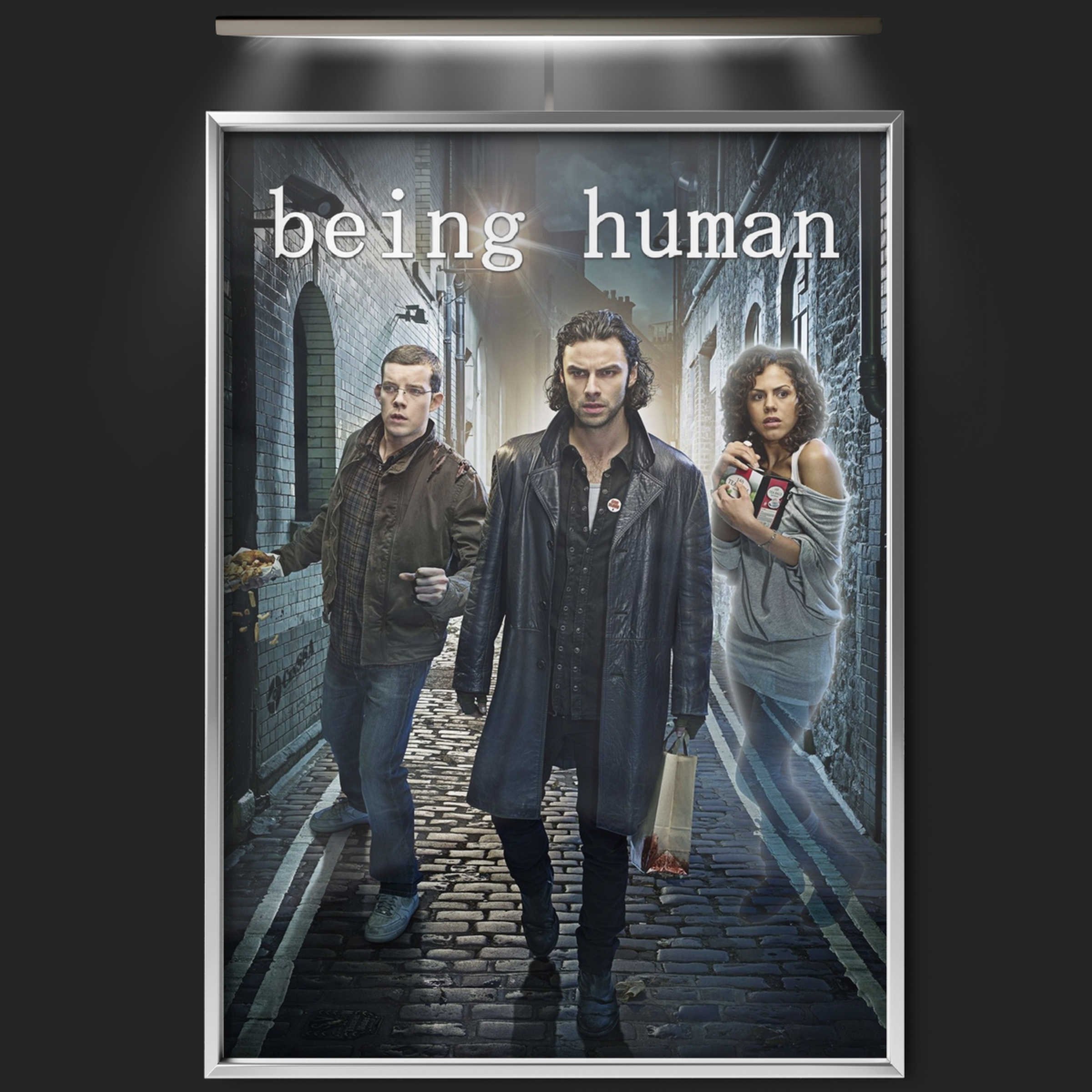 Being Human (2009)