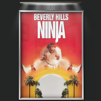 Beverly Hills Ninja (1997)
