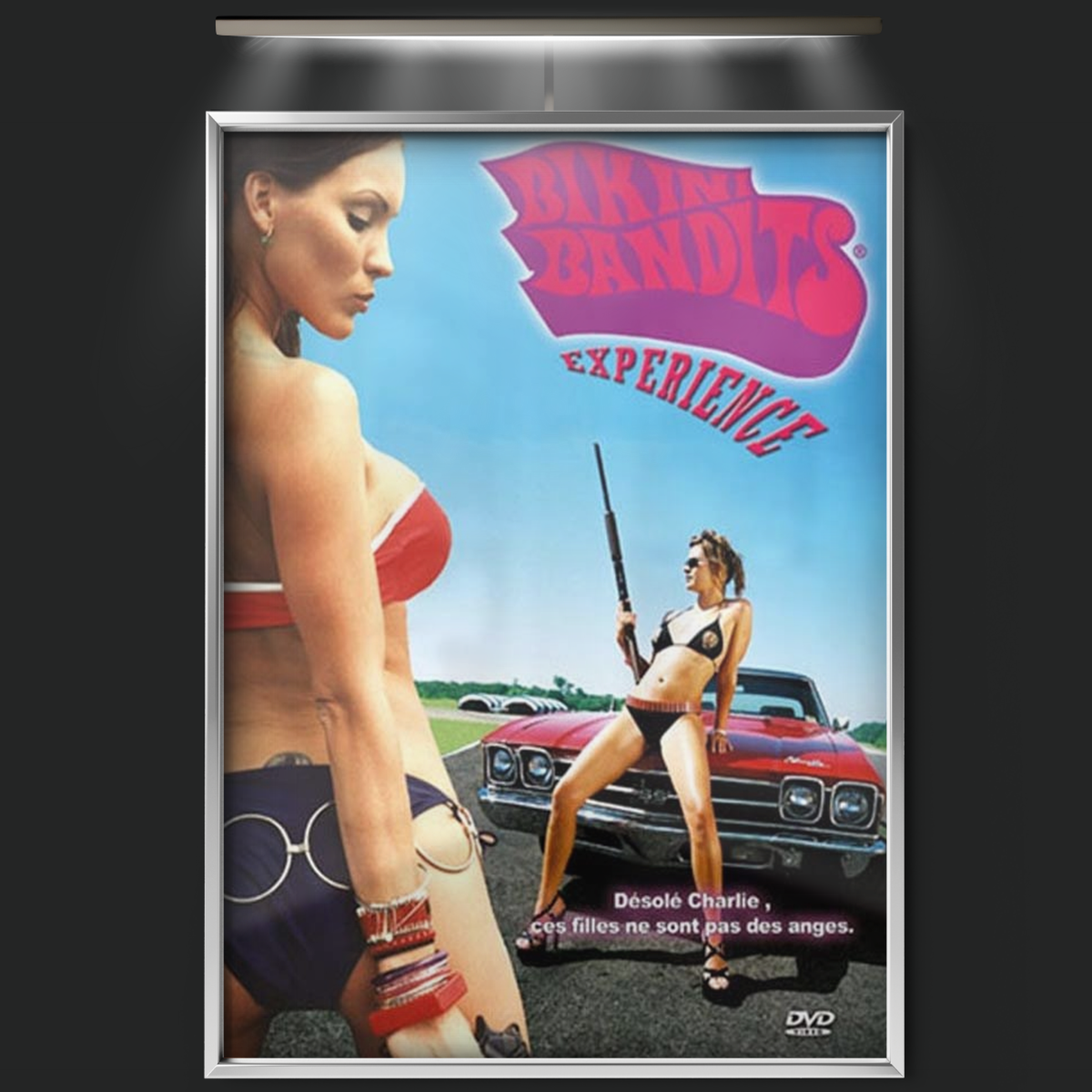 Bikini Bandits (2002)