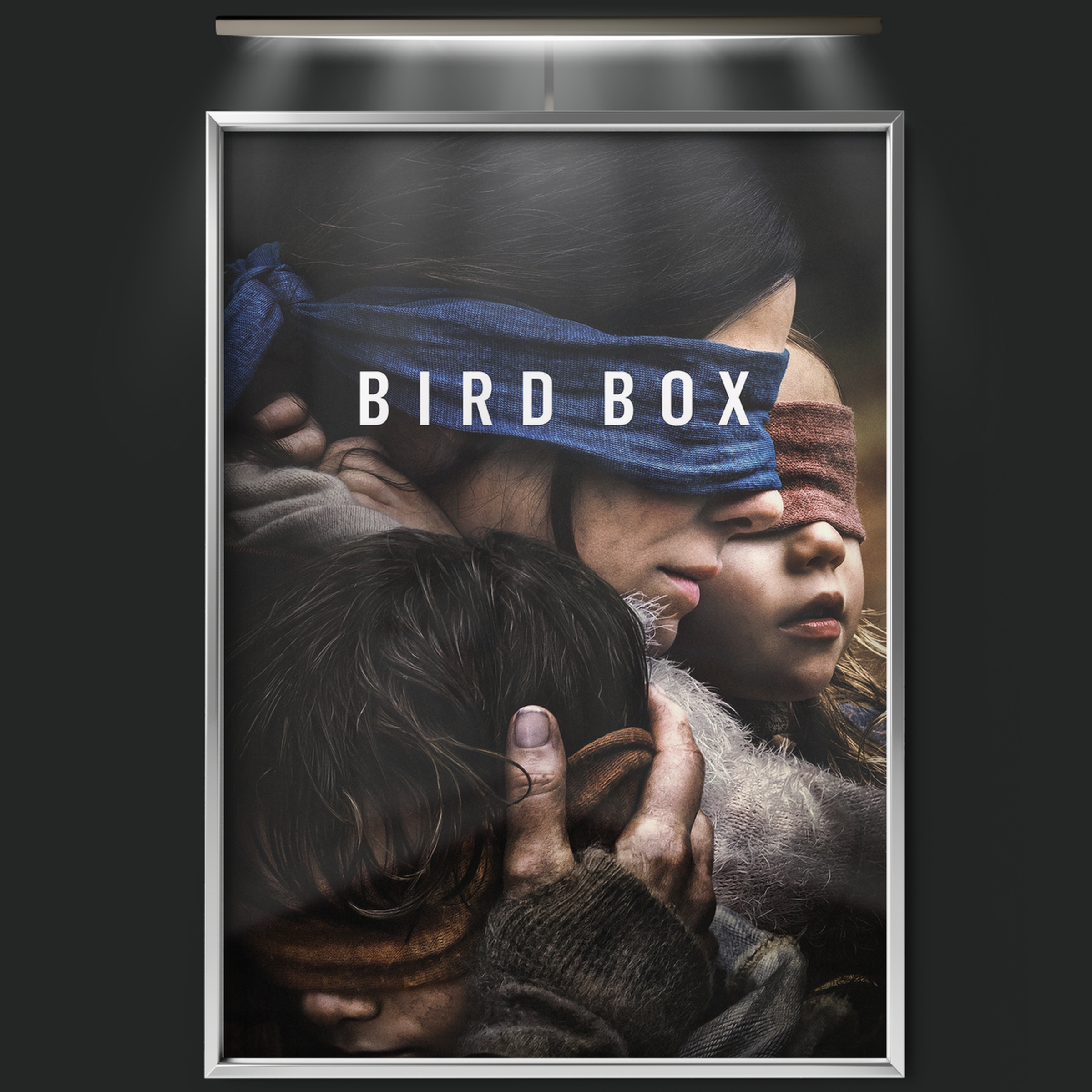 Bird Box (2018)