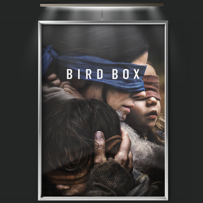 Bird Box (2018)