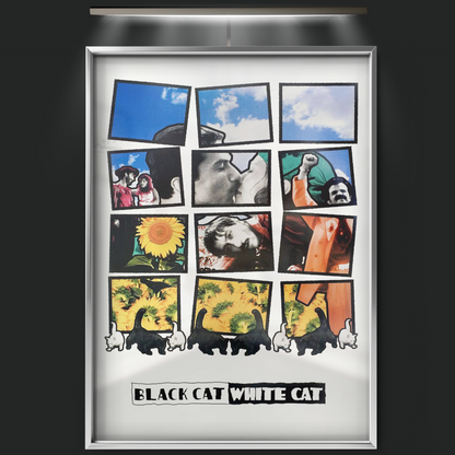 Black Cat, White Cat (1998)
