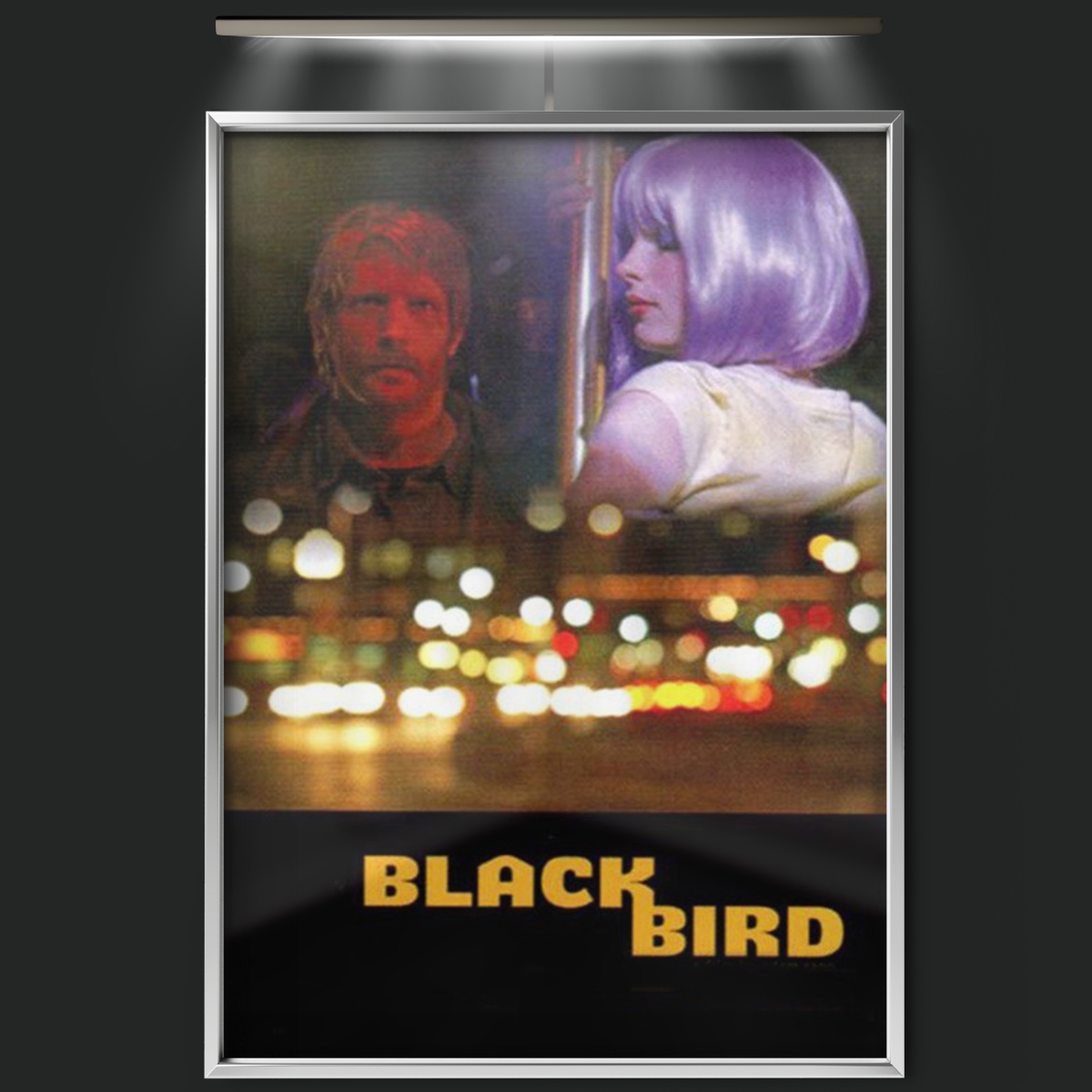 Blackbird (2007)