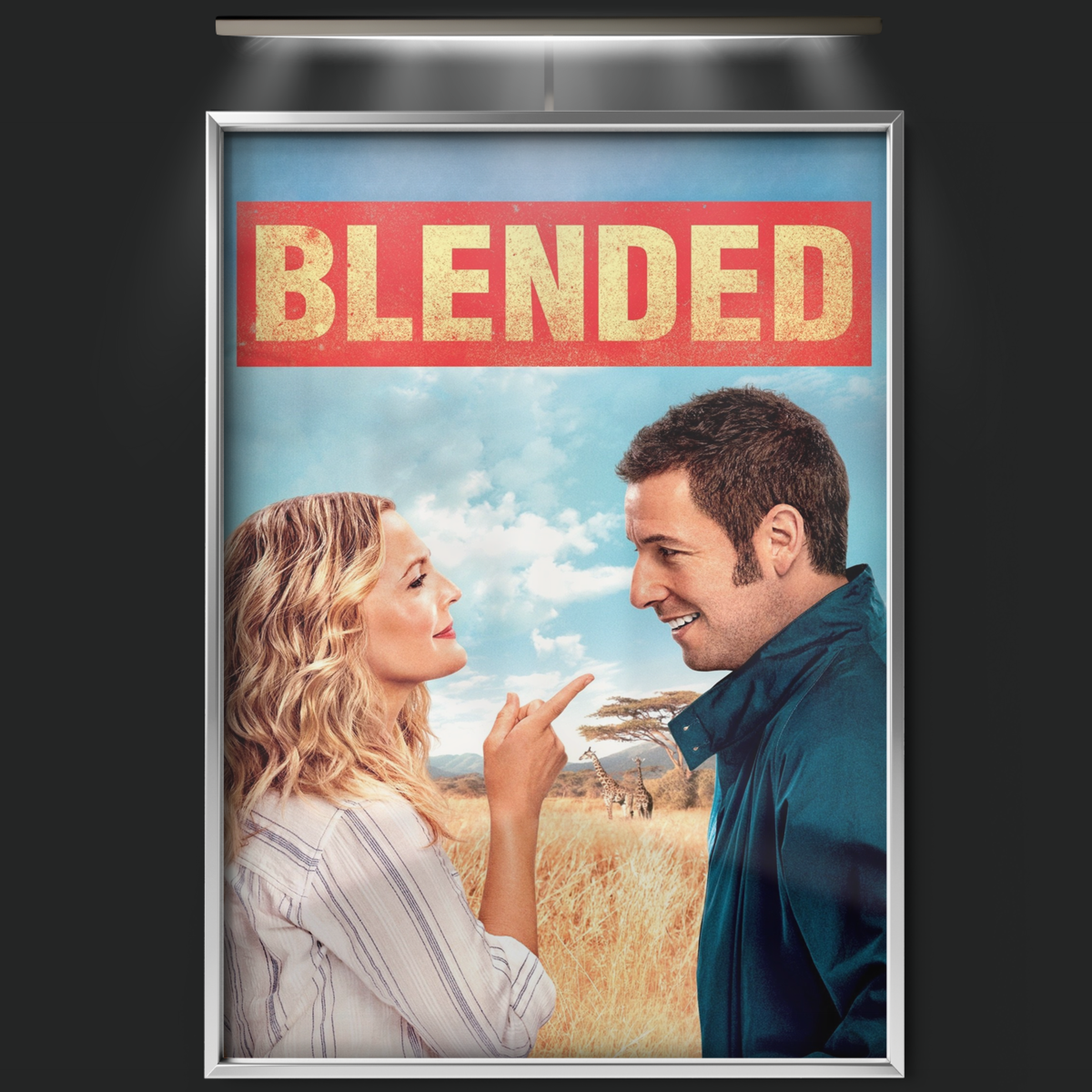 Blended (2014)