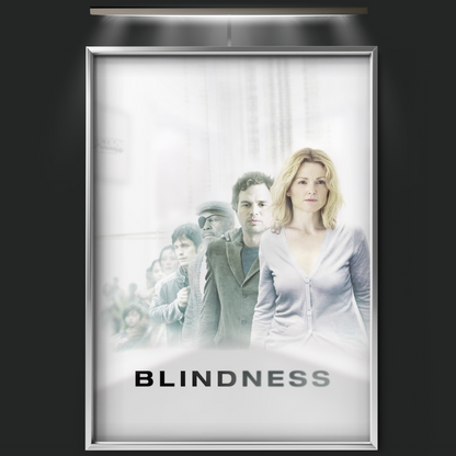 Blindness (2008)