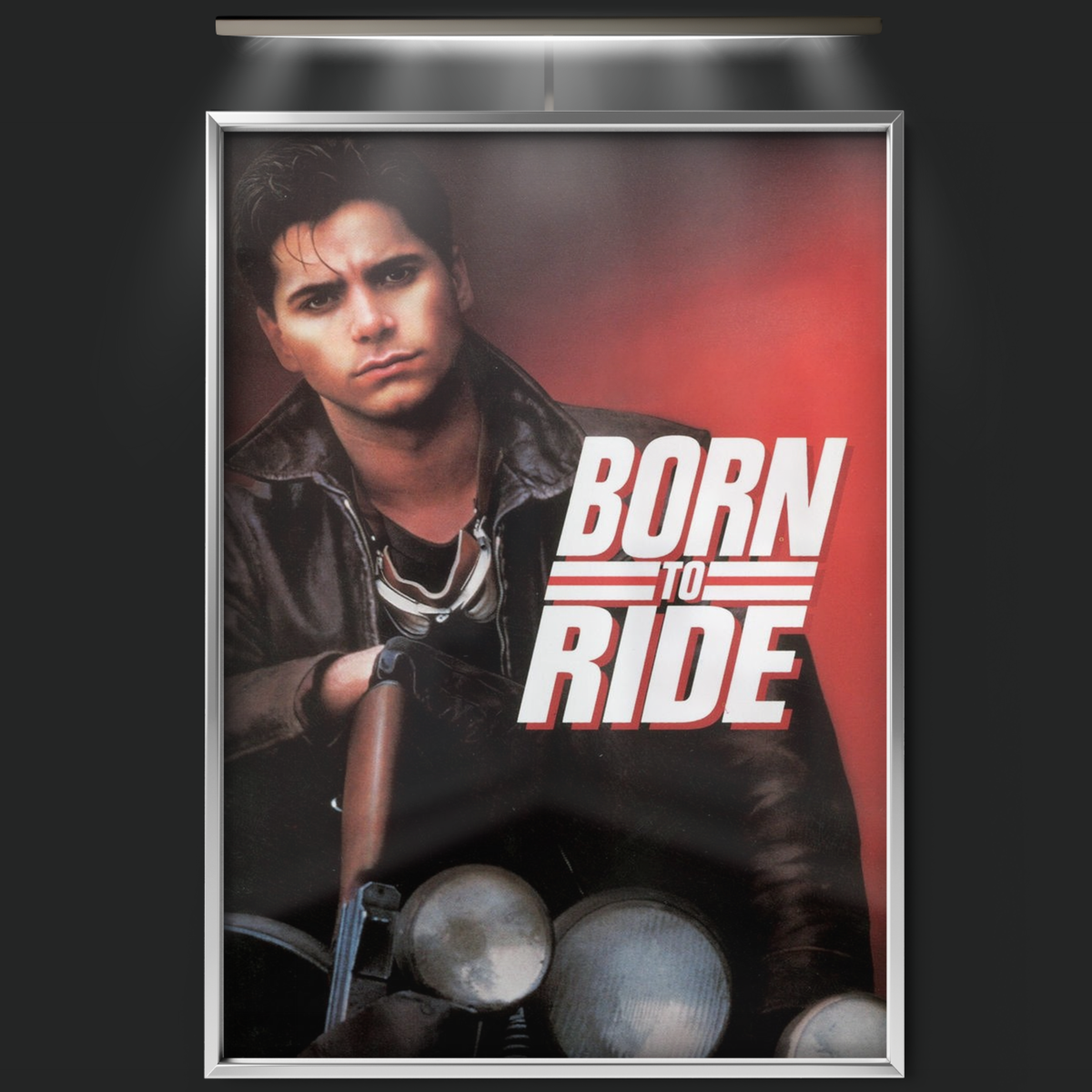 Born To Ride (1991)