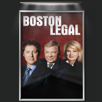 Boston Legal (2004)