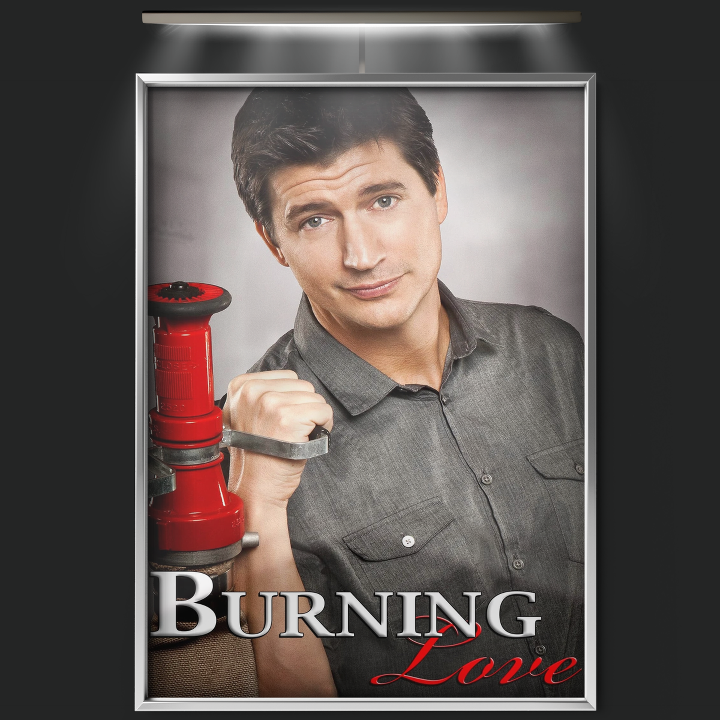 Burning Love (2012)