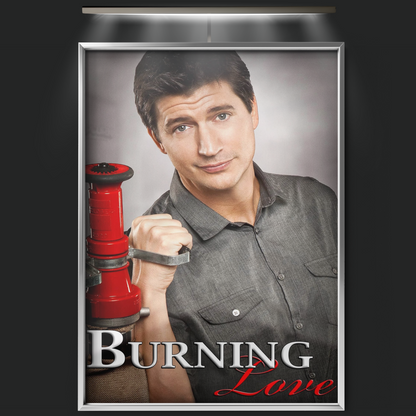 Burning Love (2012)