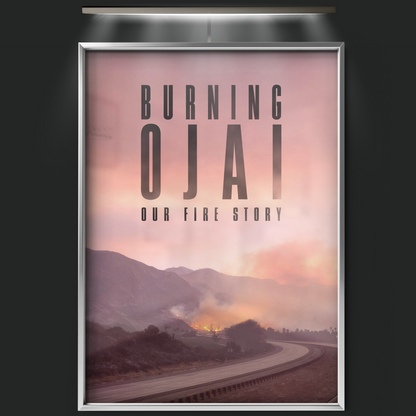 Burning Ojai Our Fire Story (2020)