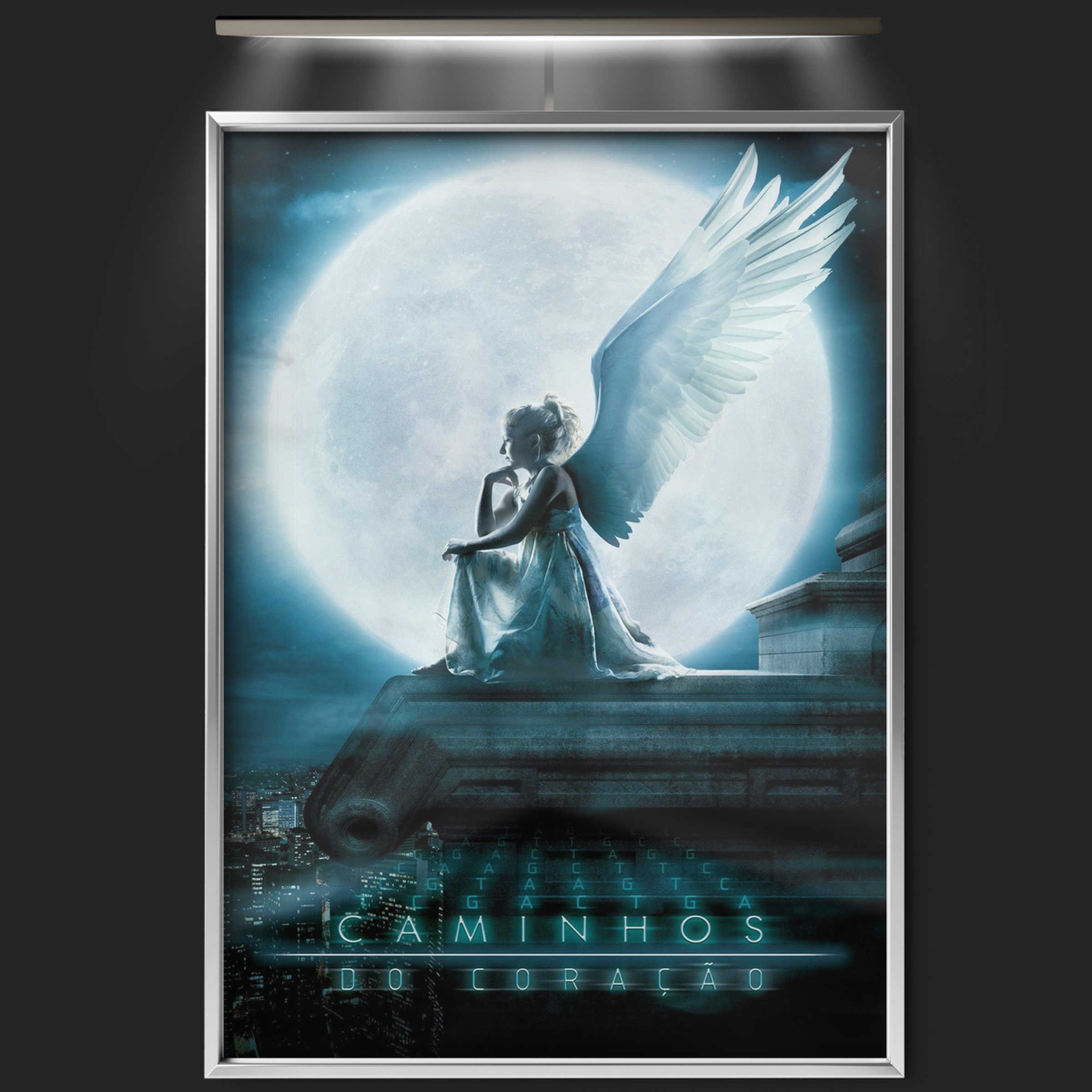 Caminhos Do Coração (2007)