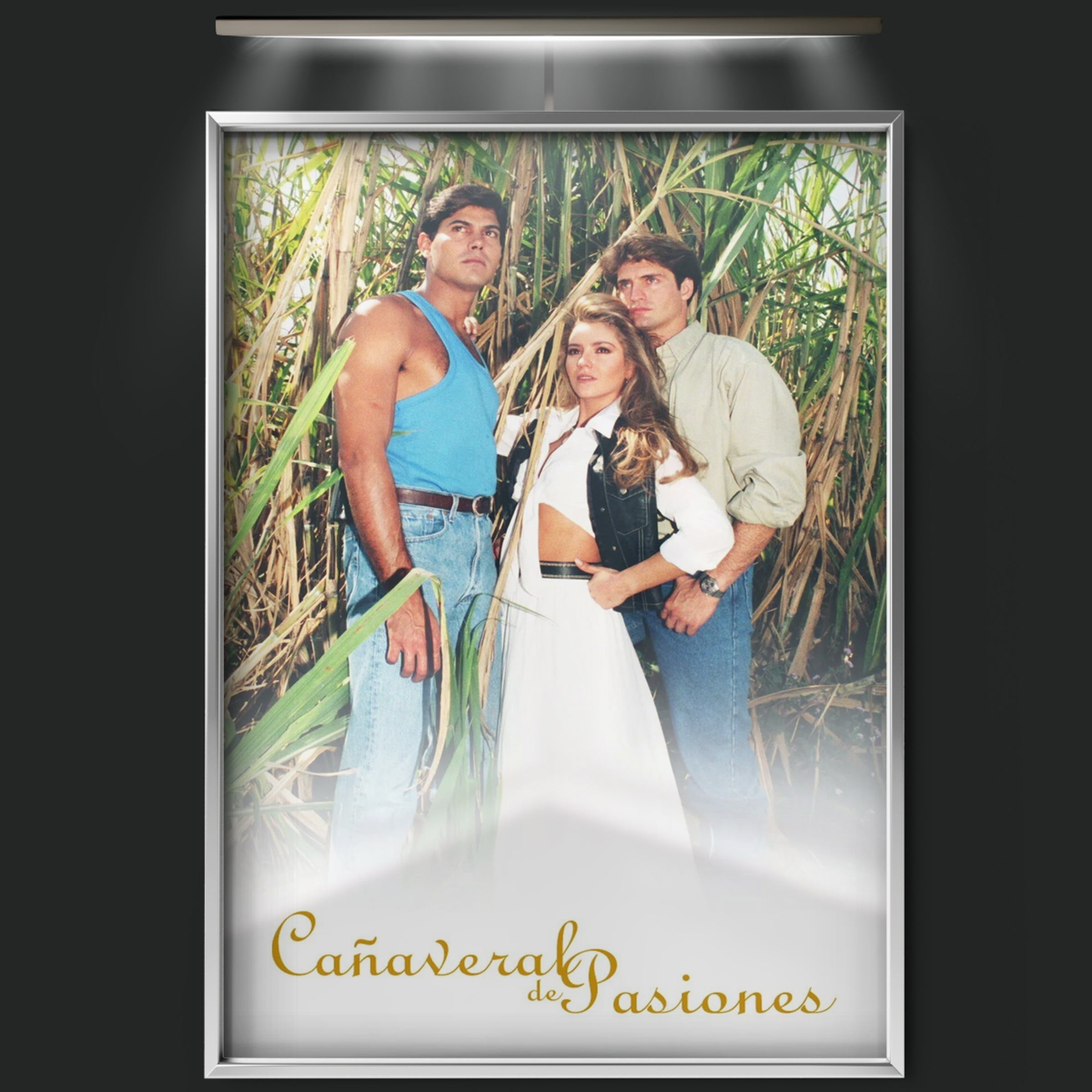 Cañaveral De Pasiones (1996)