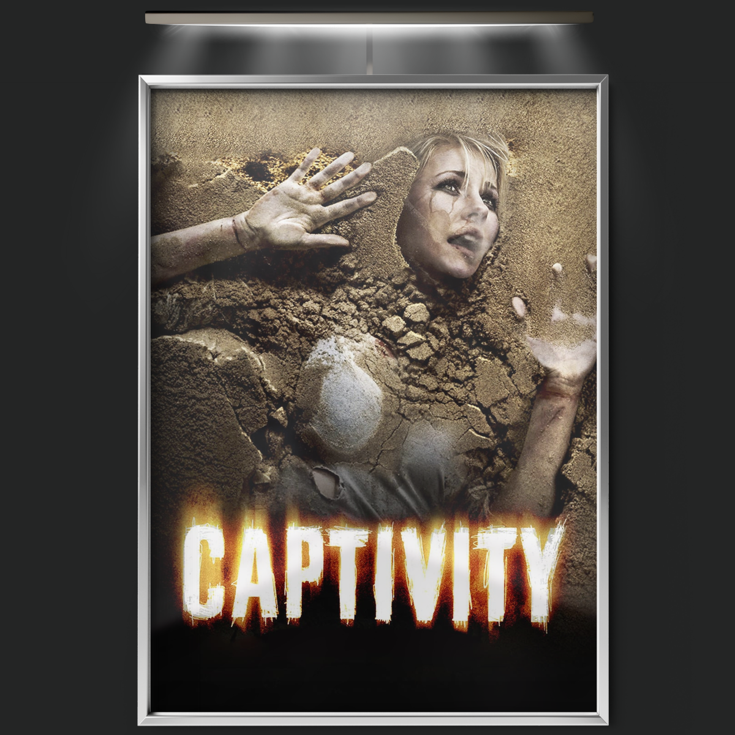 Captivity (2007)