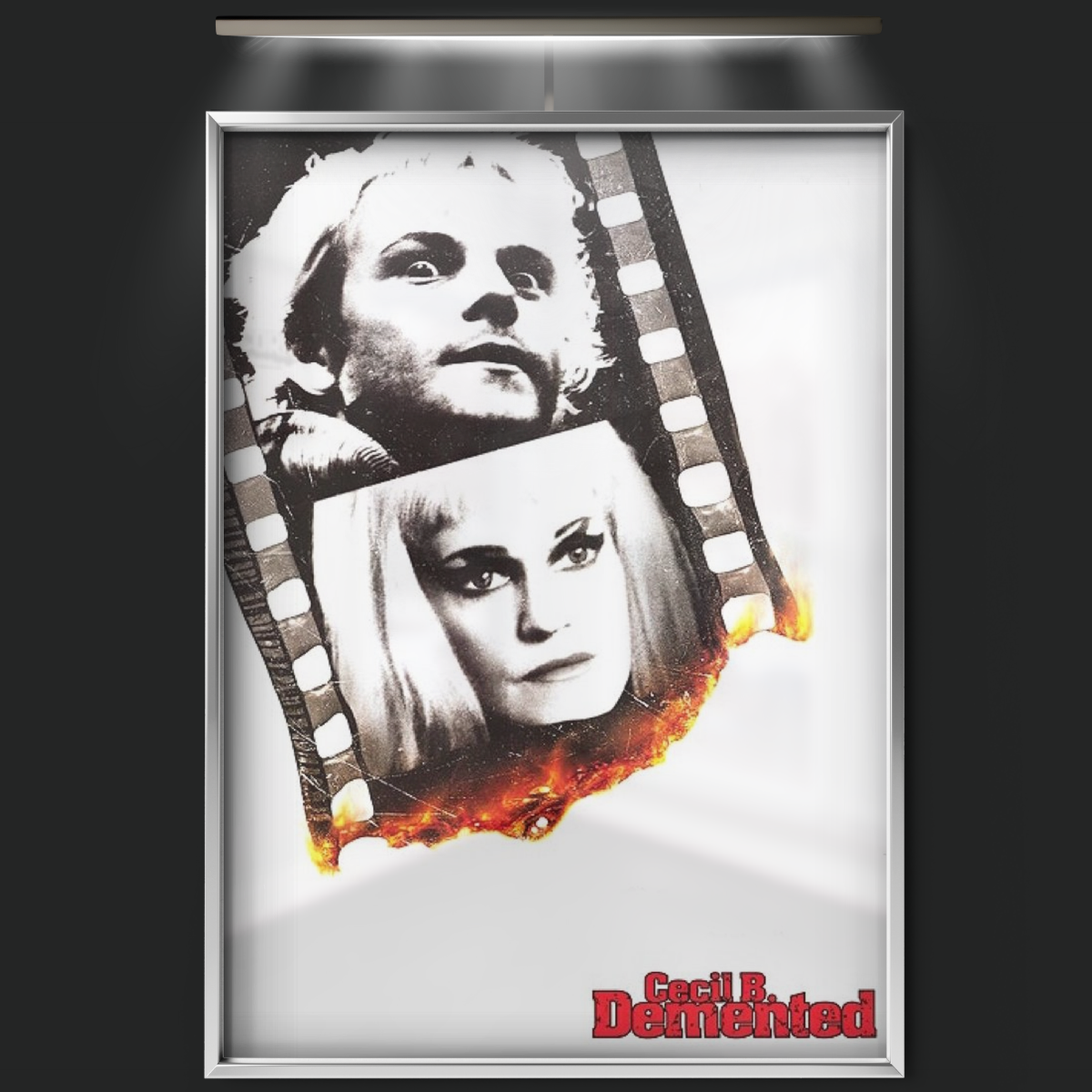 Cecil B. Demented (2000)