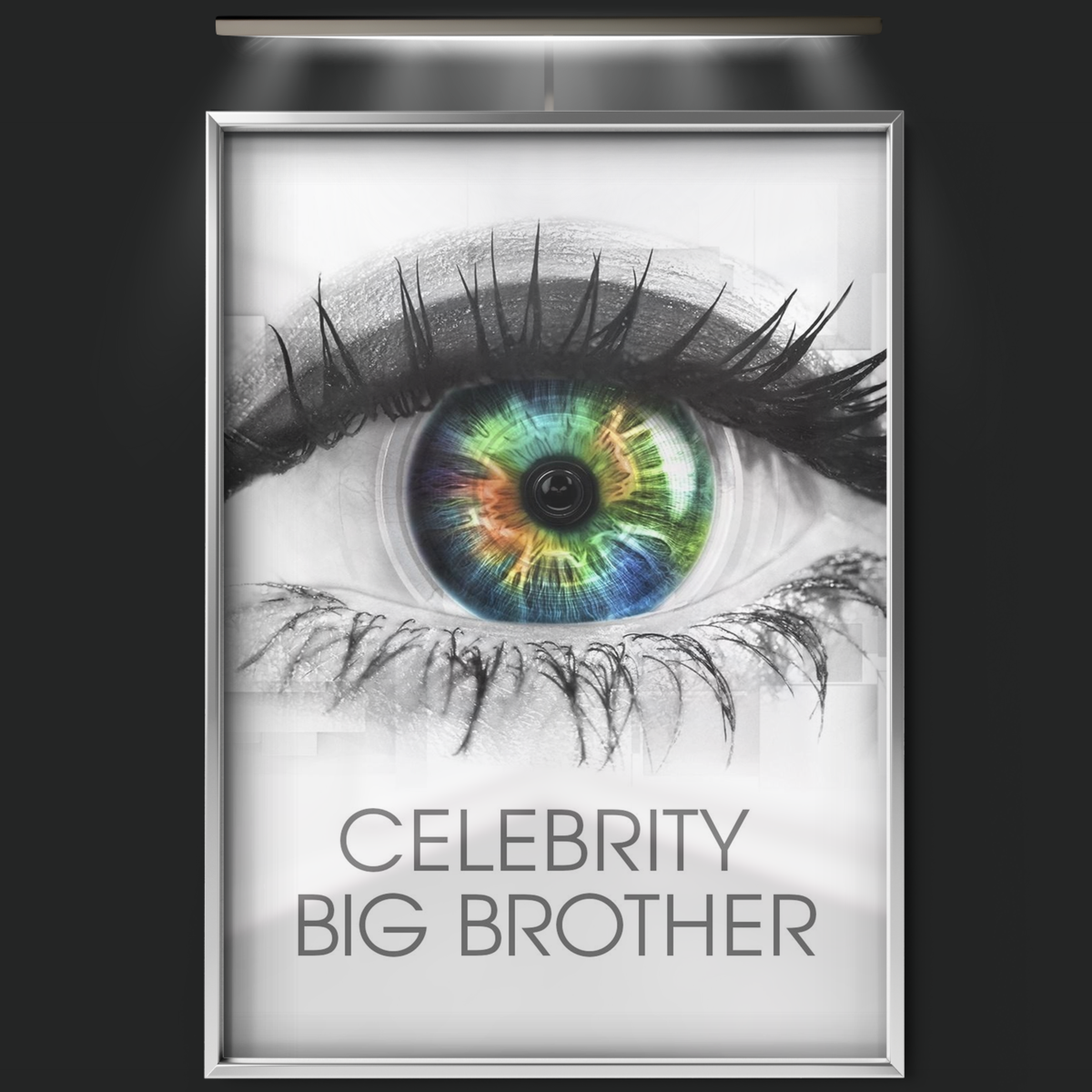 Celebrity Big Brother (2001)