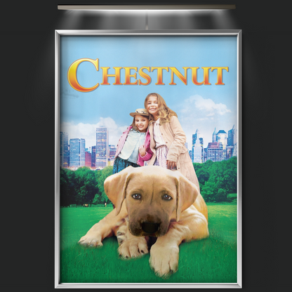 Chestnut Hero Of Central Park (2004)
