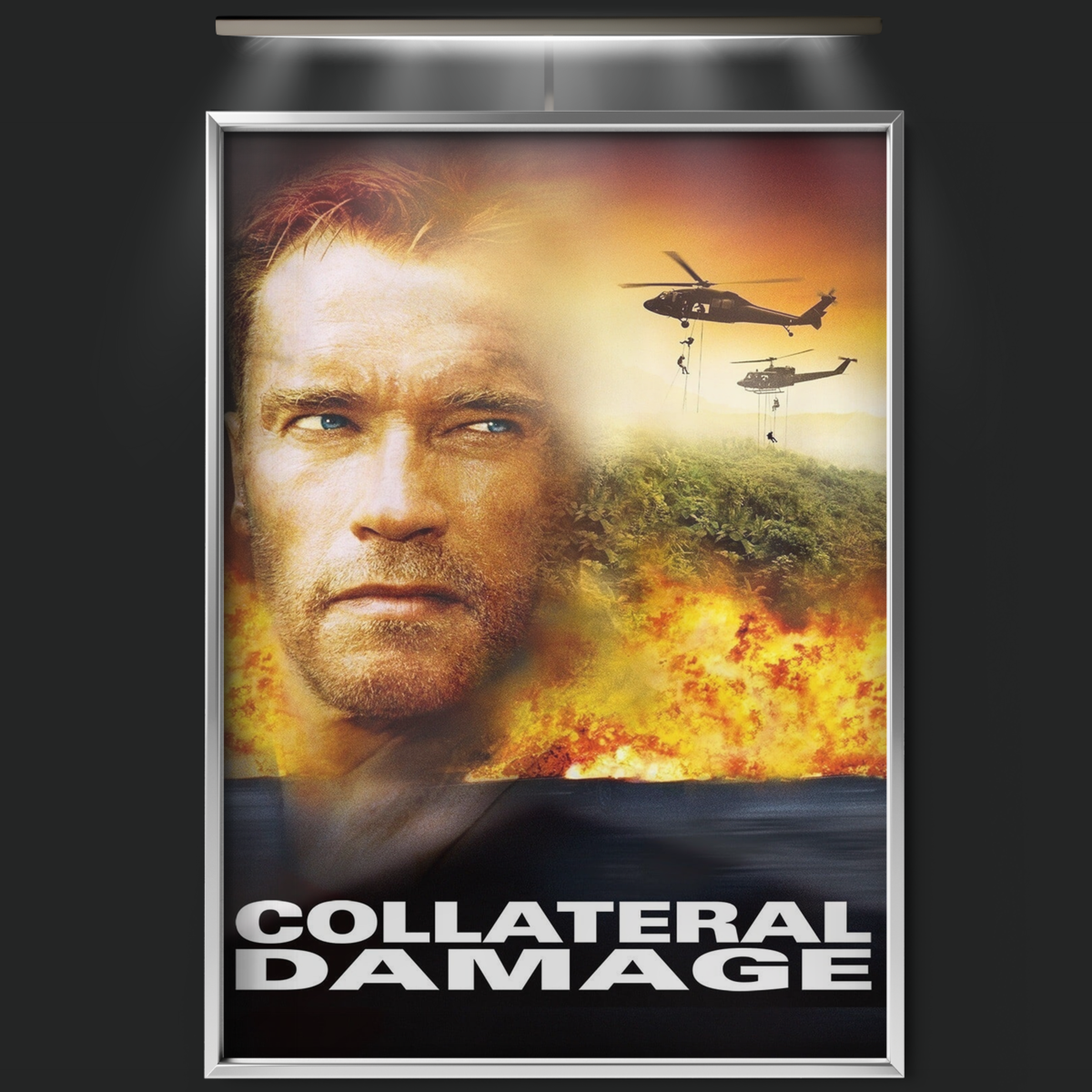 Collateral Damage (2002)