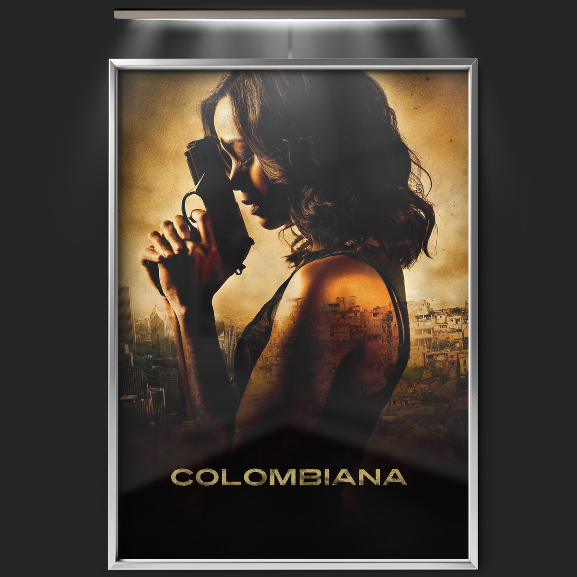 Colombiana (2011)