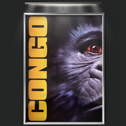 Congo (1995)