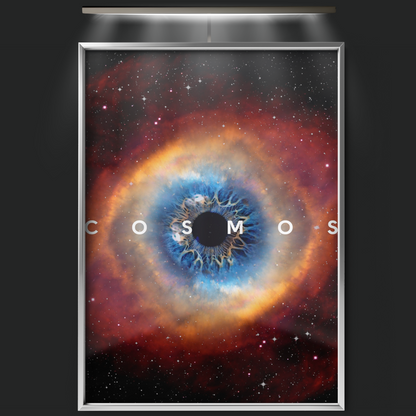 Cosmos (2014)