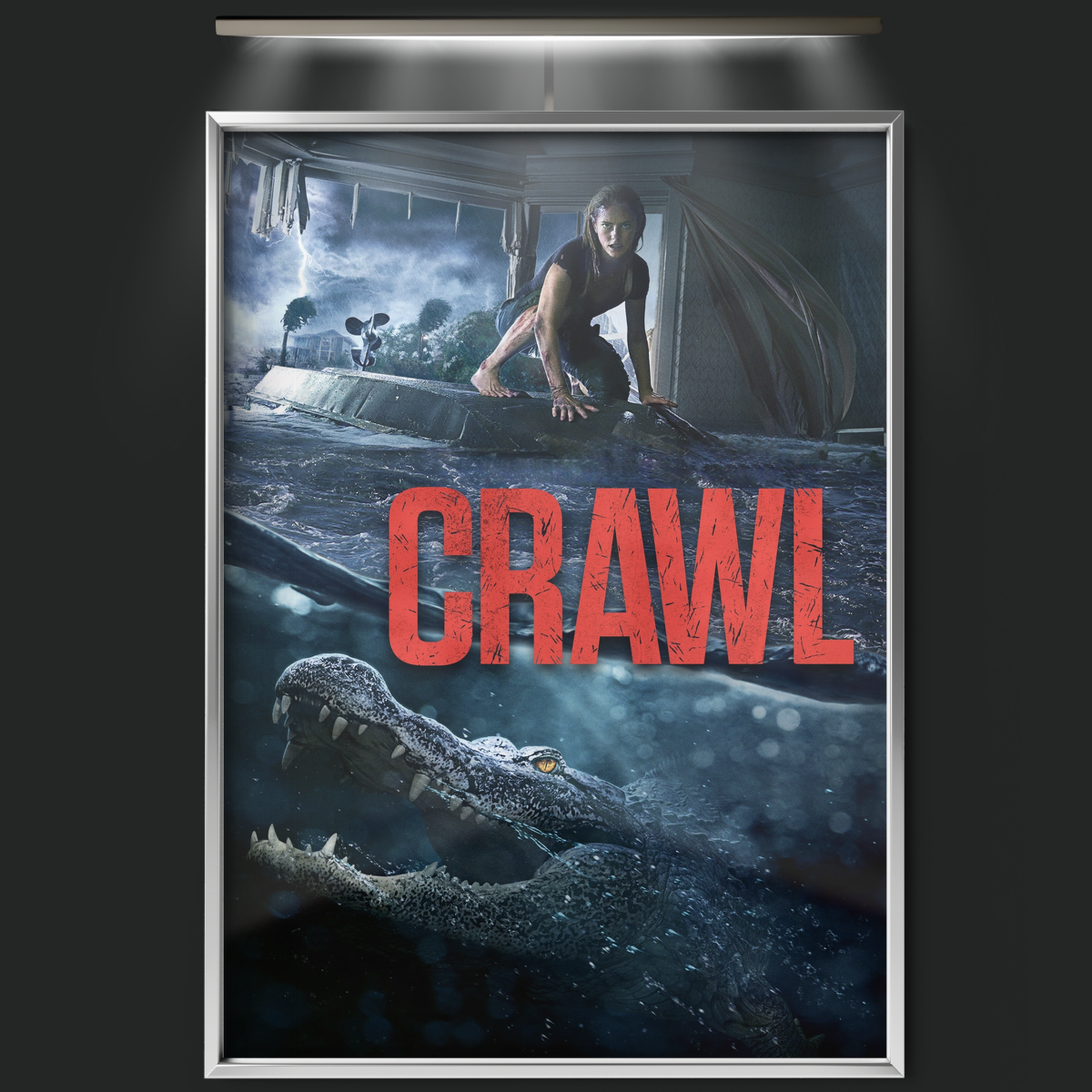 Crawl (2019)