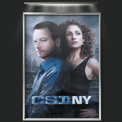 Csi Ny (2004)