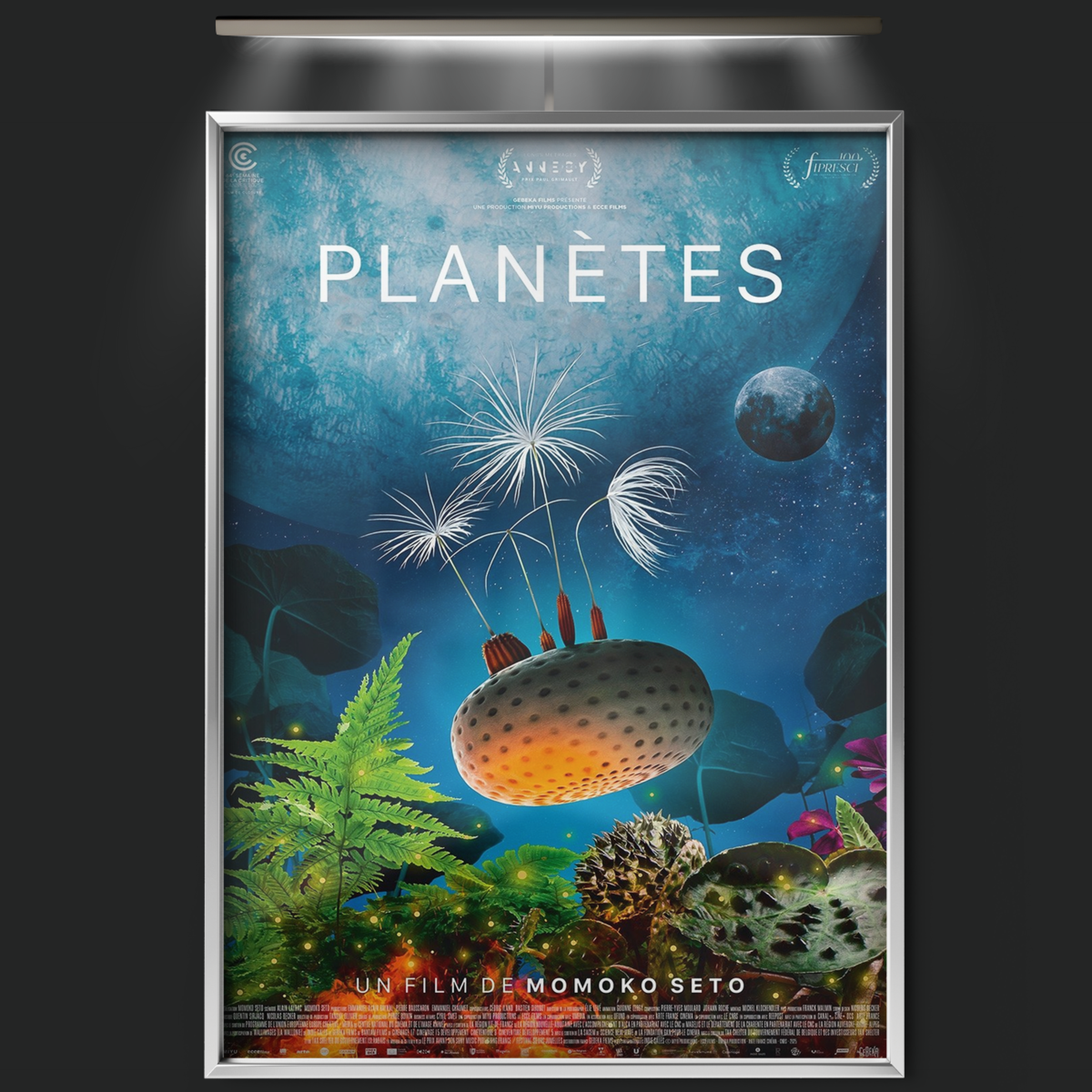 Dandelion's Odyssey (2026)