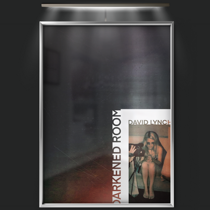 Darkened Room (2002)