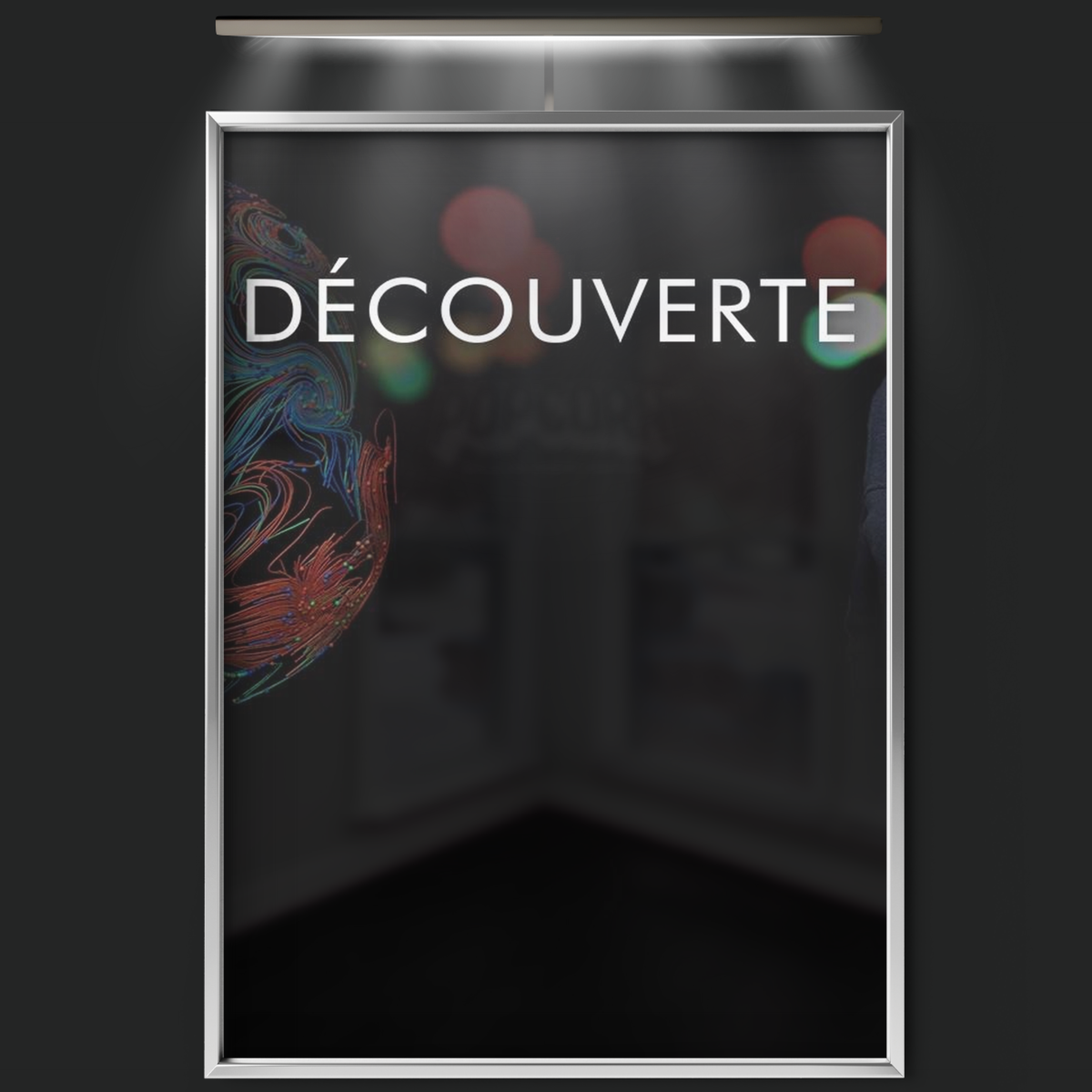 Découverte (1988)