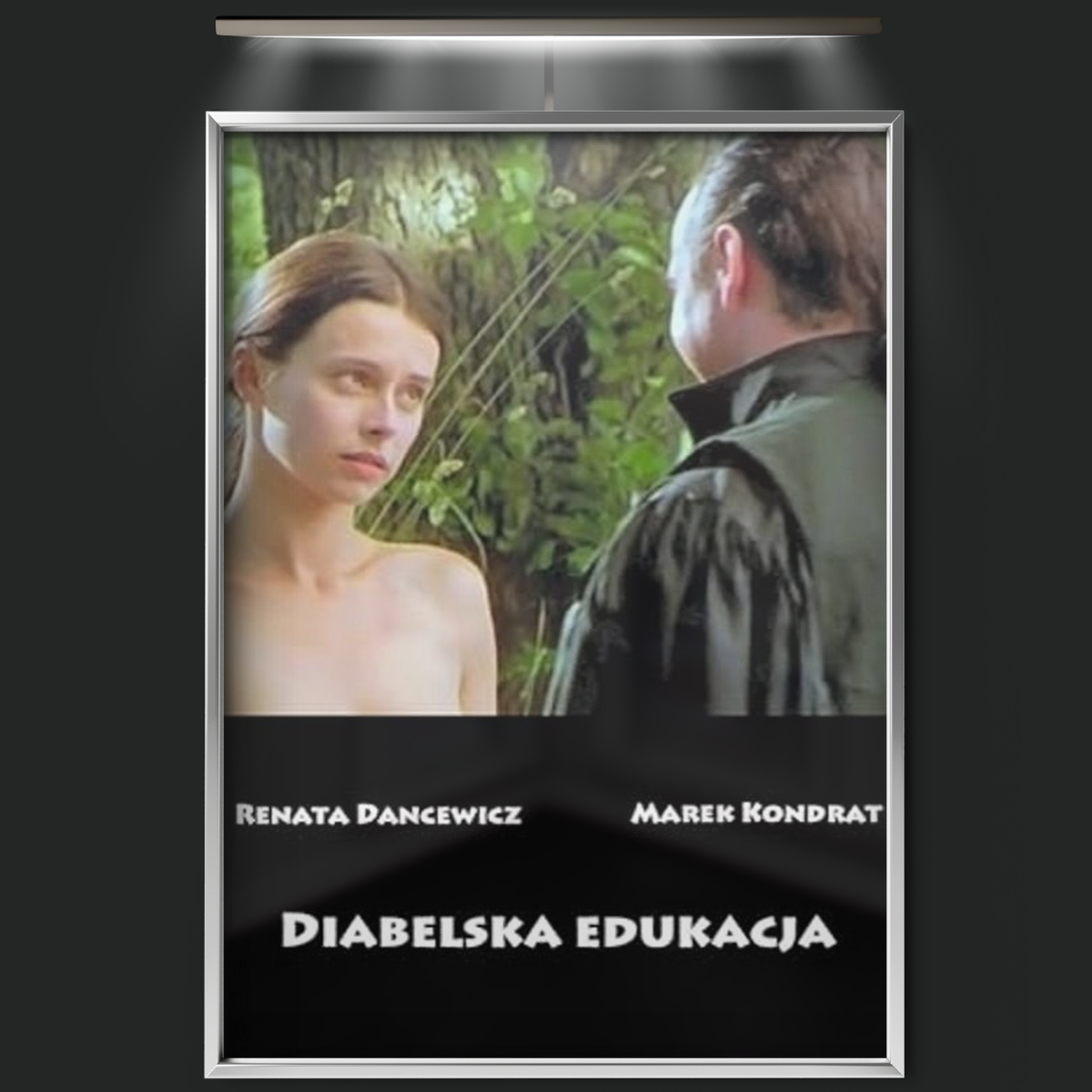 Devilish Education (1995)