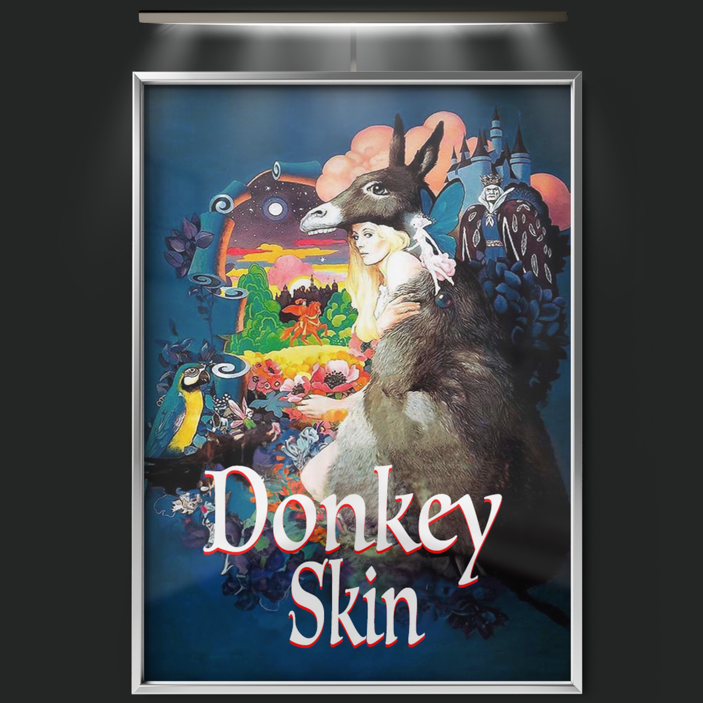 Donkey Skin (1970)