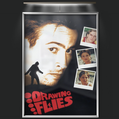 Drawing Flies (1996)