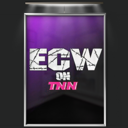 Ecw On Tnn (1999)