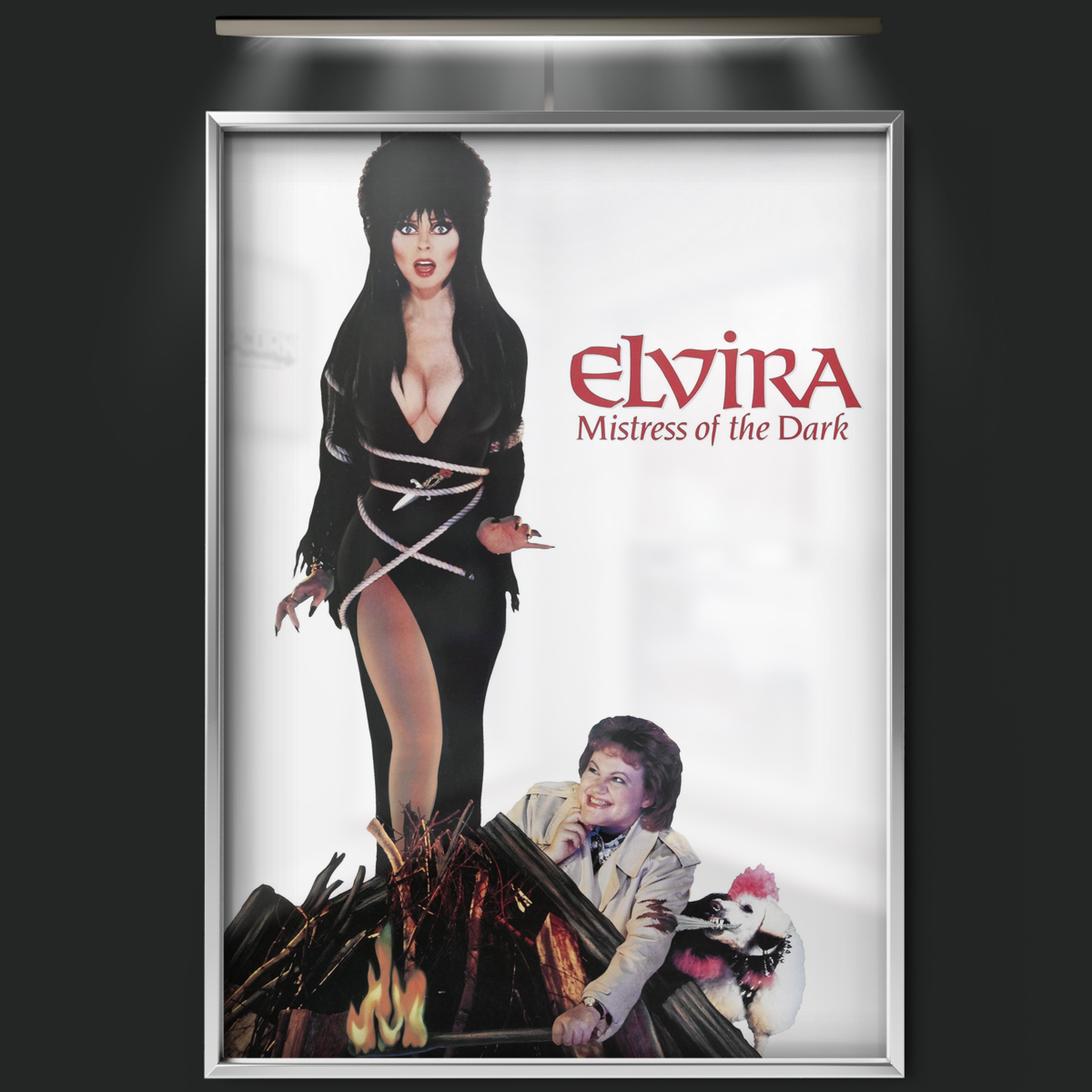 Elvira Mistress Of The Dark (1988)