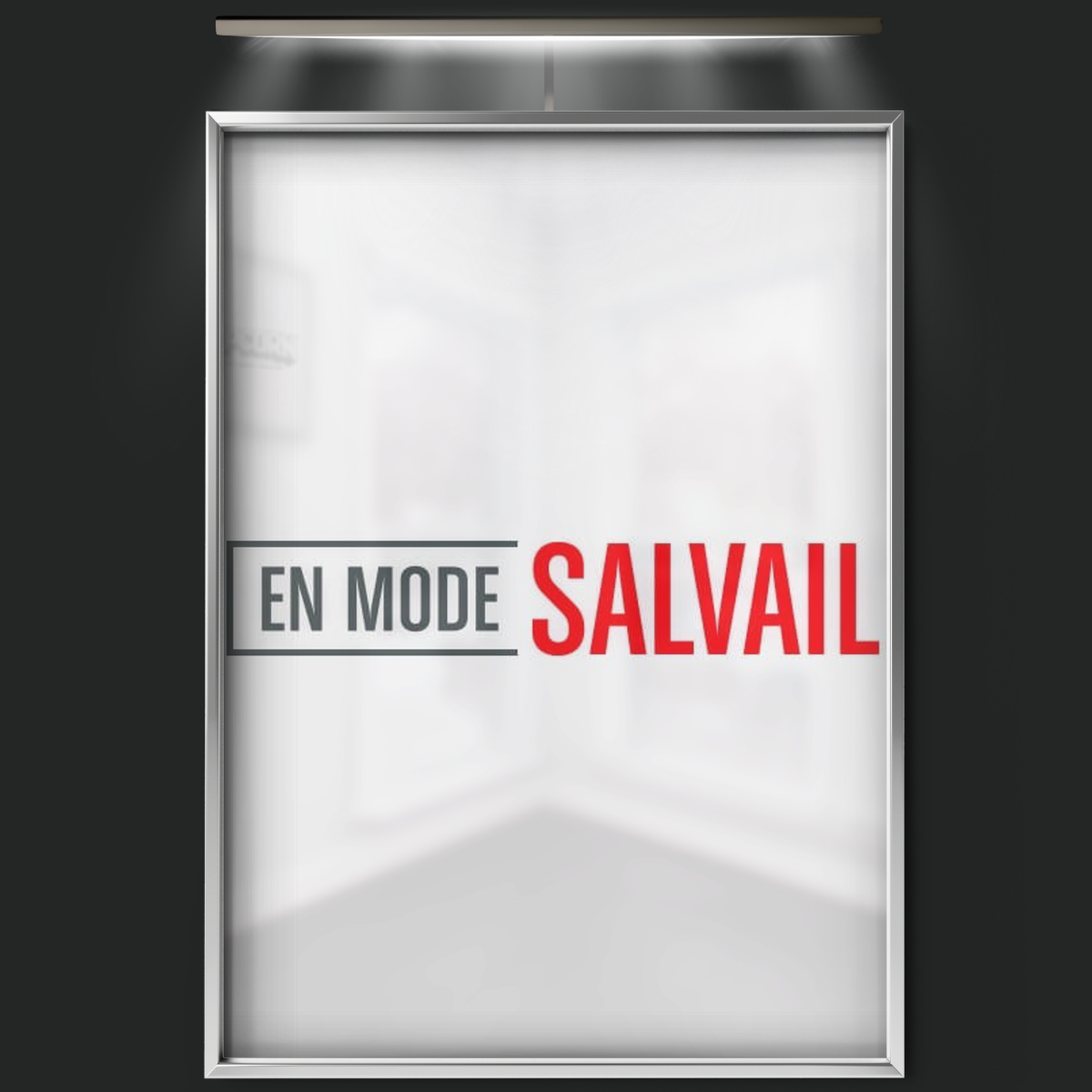 En Mode Salvail (2013)