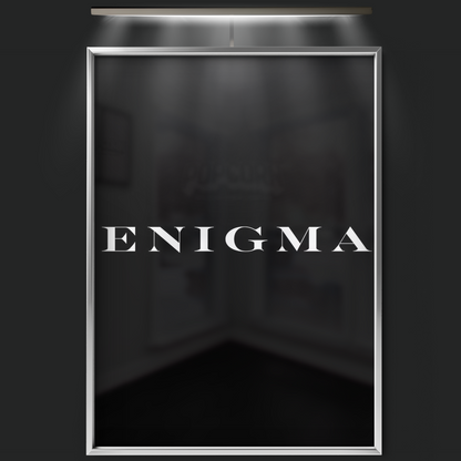 Enigma (2001)