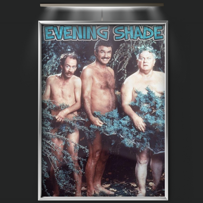 Evening Shade (1990)