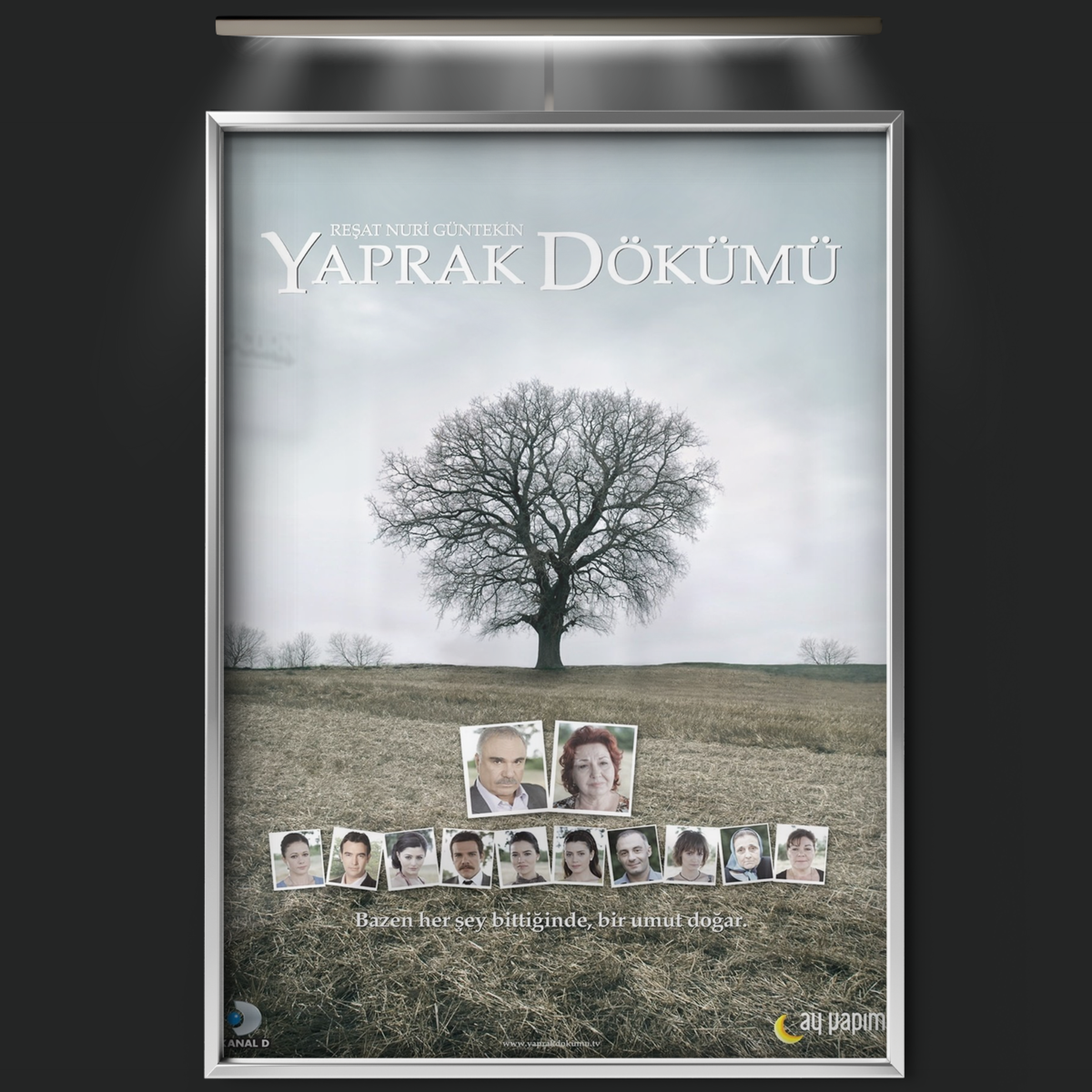 Falling Leaves (2006)