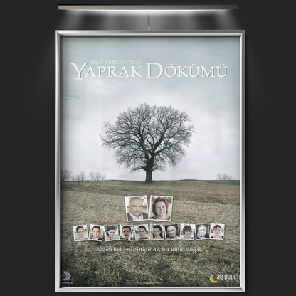 Falling Leaves (2006)