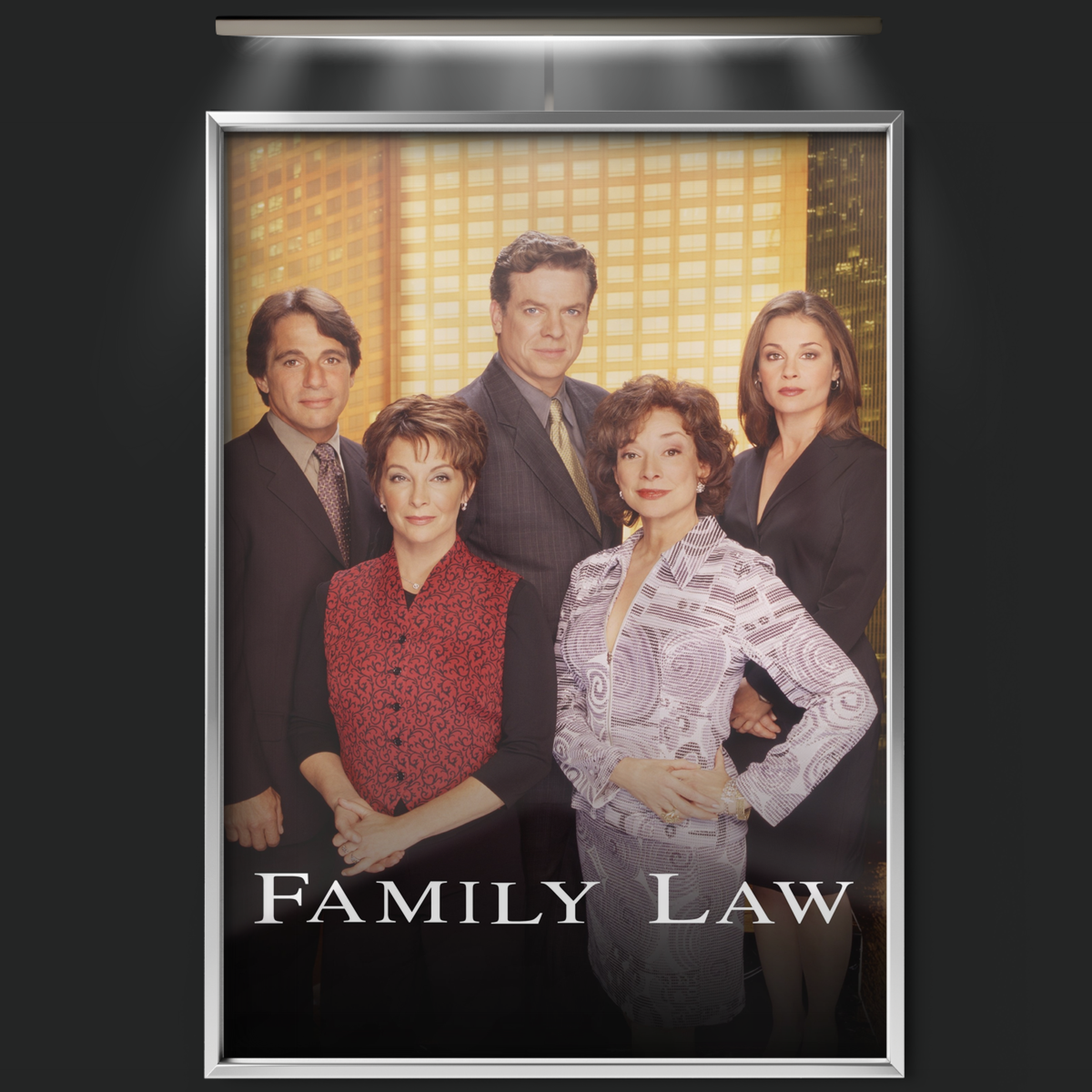 Family Law (1999)