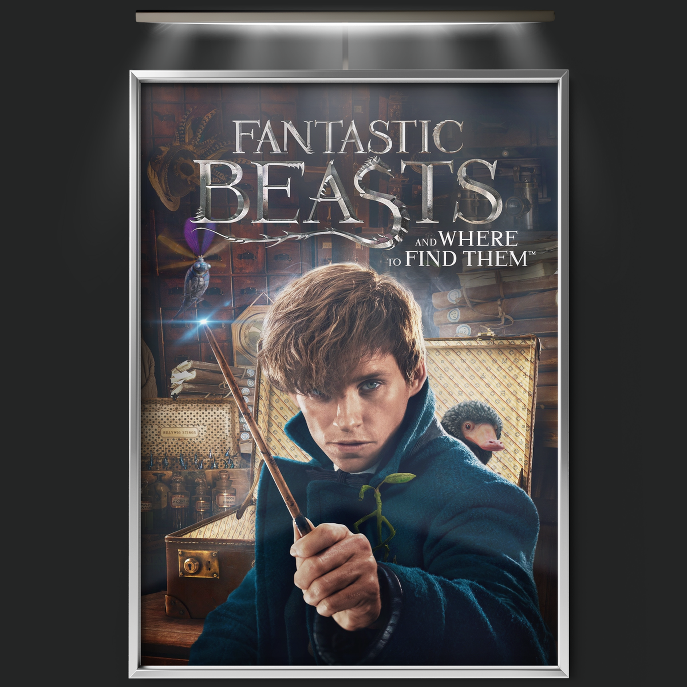 Fantastic Beasts And Where To Find Them (2016)