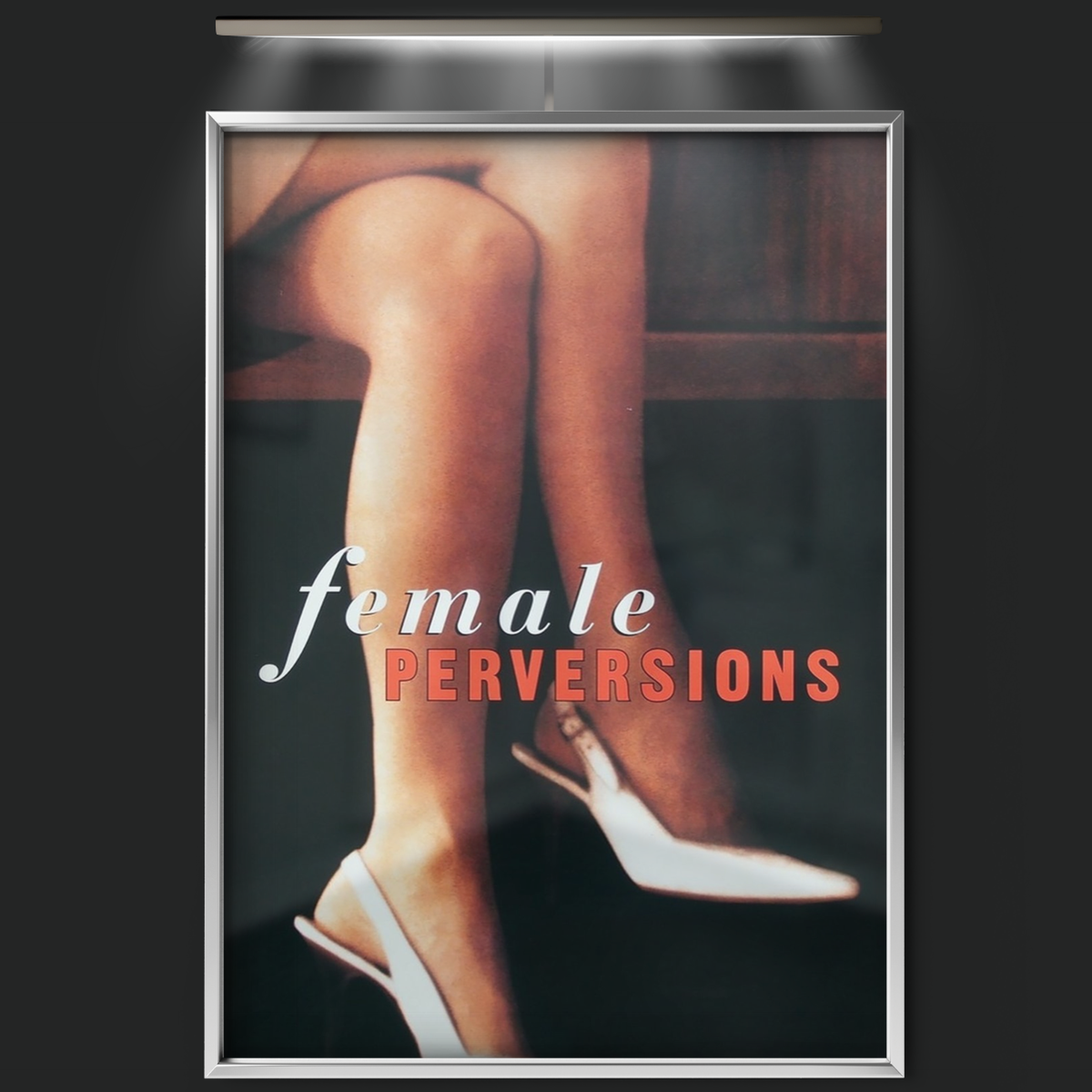 Female Perversions (1997)
