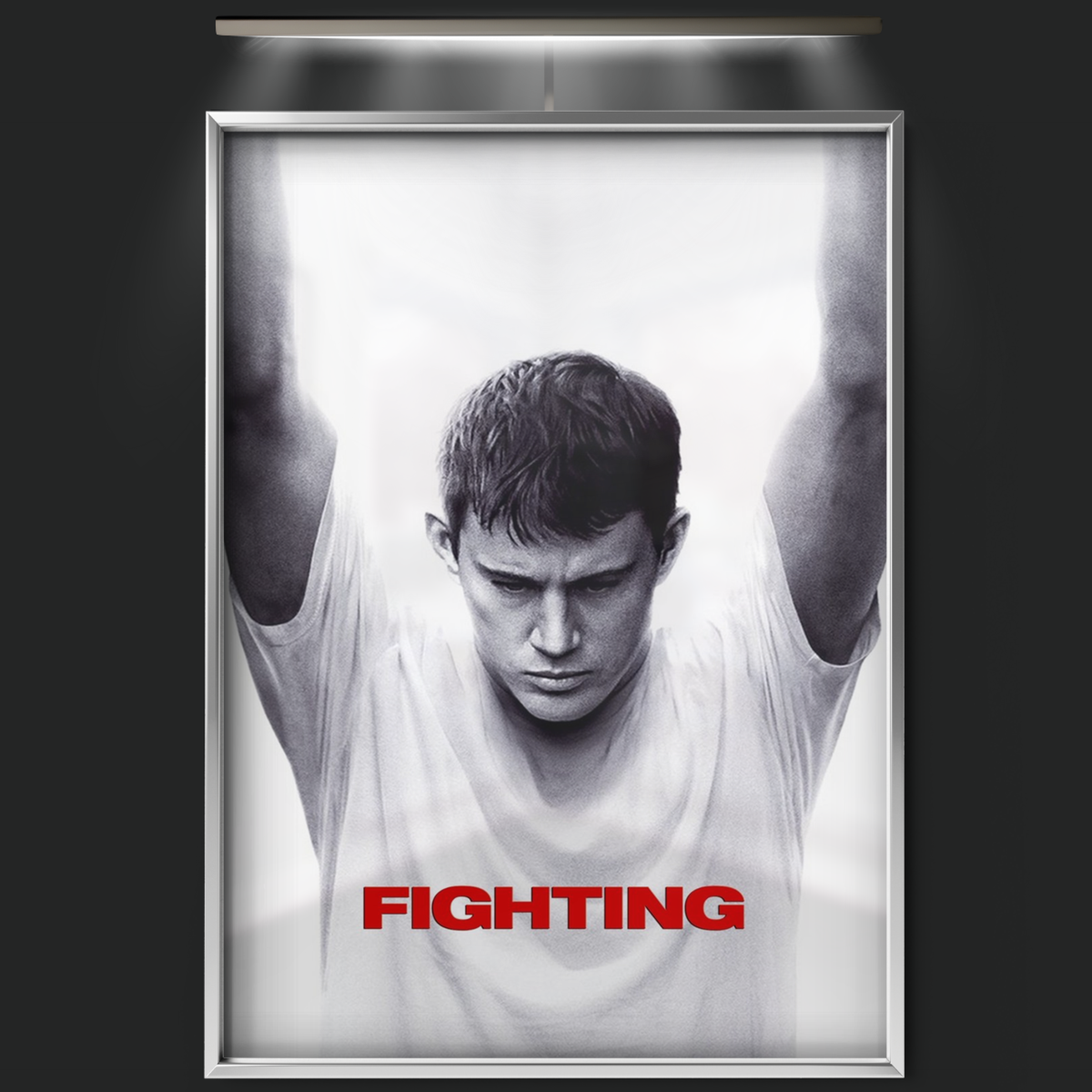 Fighting (2009)